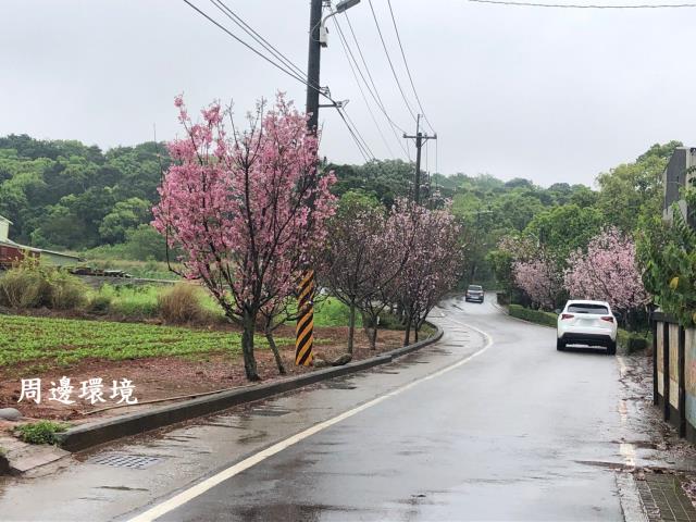 沙鹿透天-6