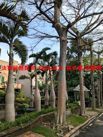 新北淡水法拍透天-7