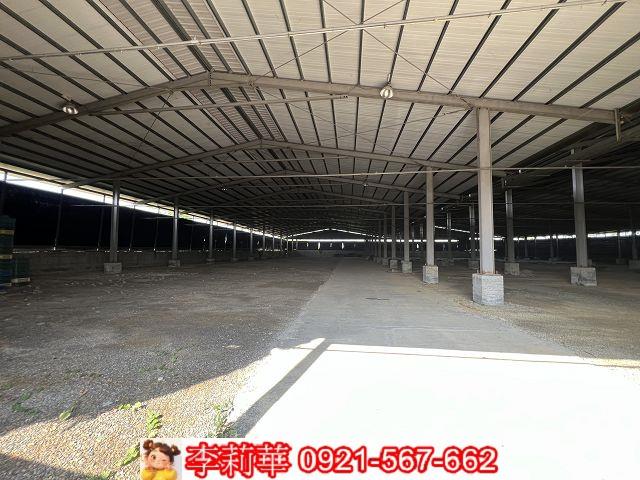 南投竹山養菇場-5