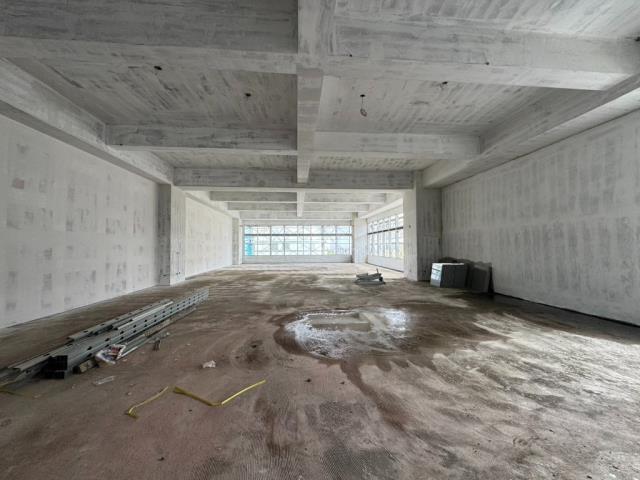 新竹湖口廠房-2