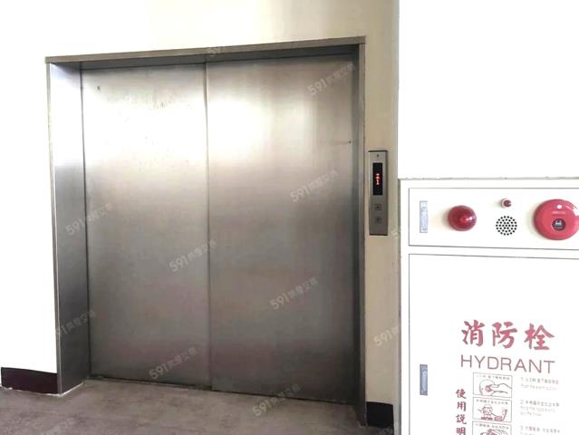 桃園龍潭廠房-5