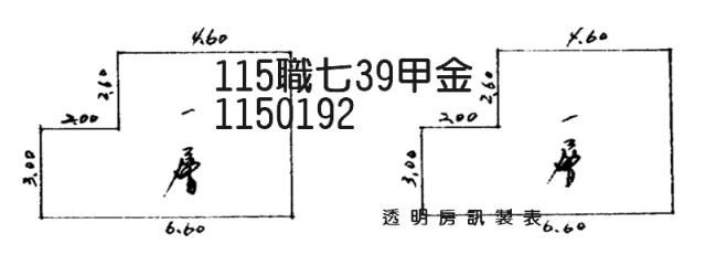桃園法拍透天-2