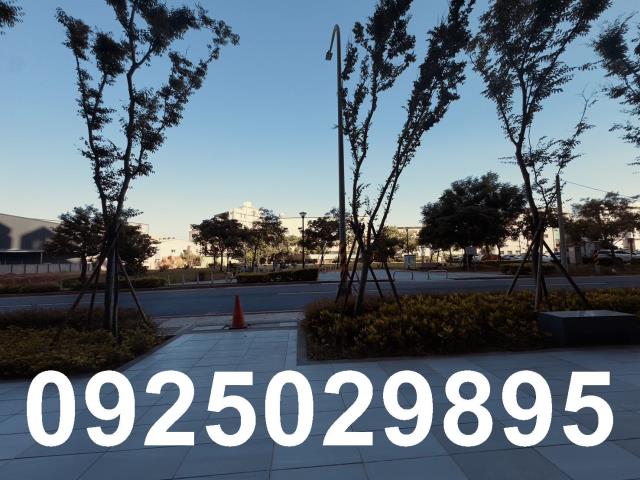 八德大樓-12