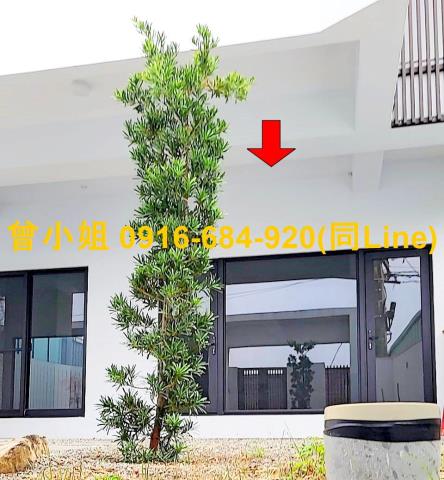 屏東潮州法拍透天-3