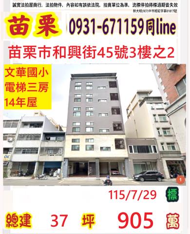 苗栗苗栗市拍賣華廈-1