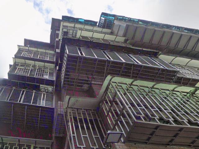 新北法拍華廈-3