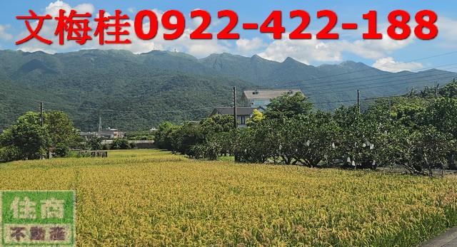 頭城透天-3