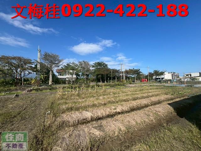 宜蘭農糧加工-5