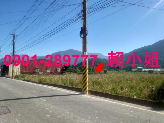 埔里法拍透天-5