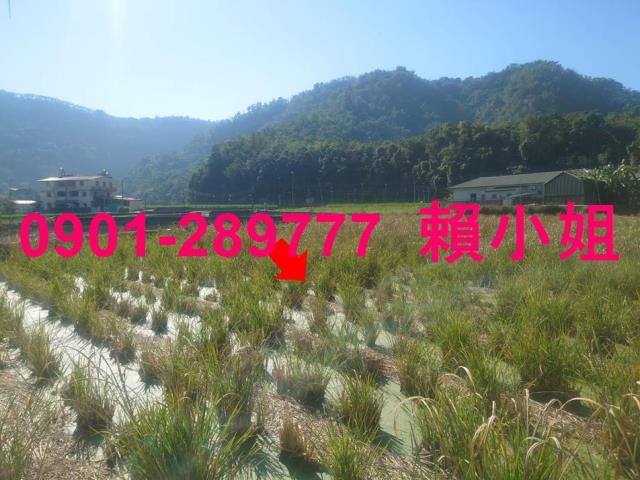 埔里法拍透天-7
