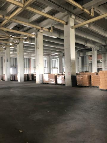 屏東屏東市廠房-2