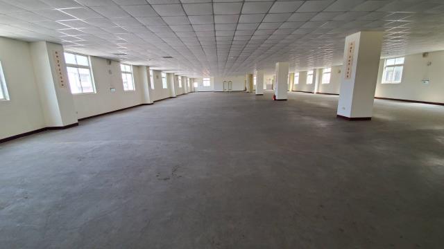 桃園平鎮廠房-1