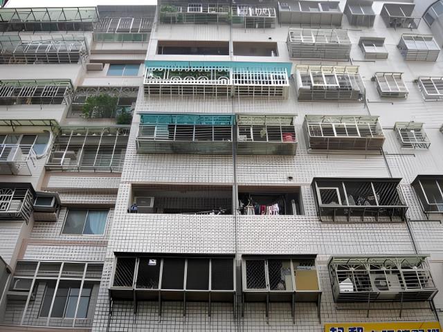 新北樹林法拍華廈-2