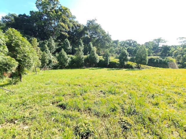 新竹新埔透天-14