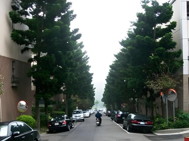 桃園透天法拍-7