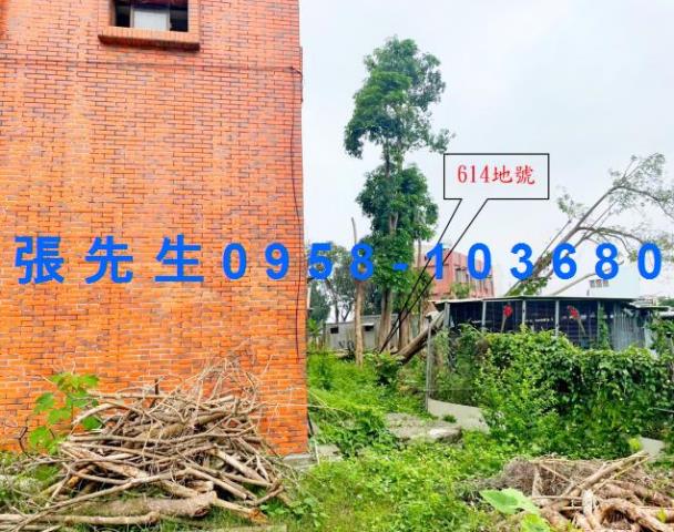 嘉義西區法拍透天-4