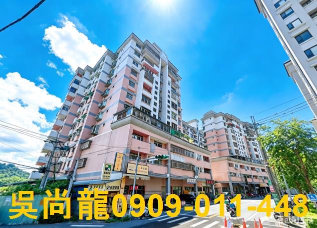 南投埔里法拍華廈-3