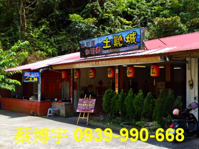 魚池鄉金天巷法拍店面