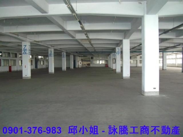桃園大園廠房-3