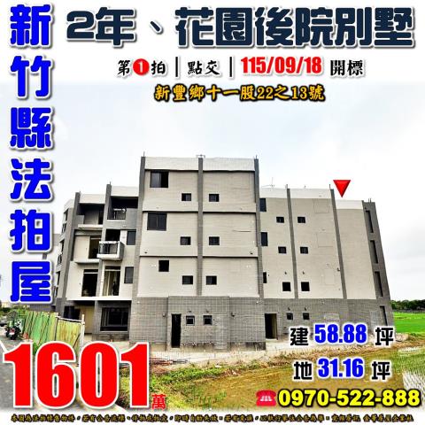 新豐鄉十一股廣僑樹