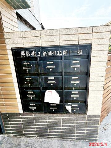 新豐鄉十一股廣僑樹