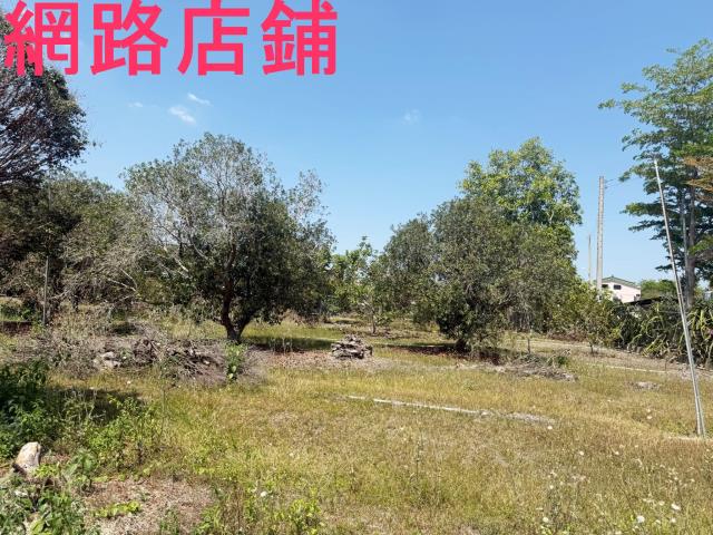 玉井透天-9