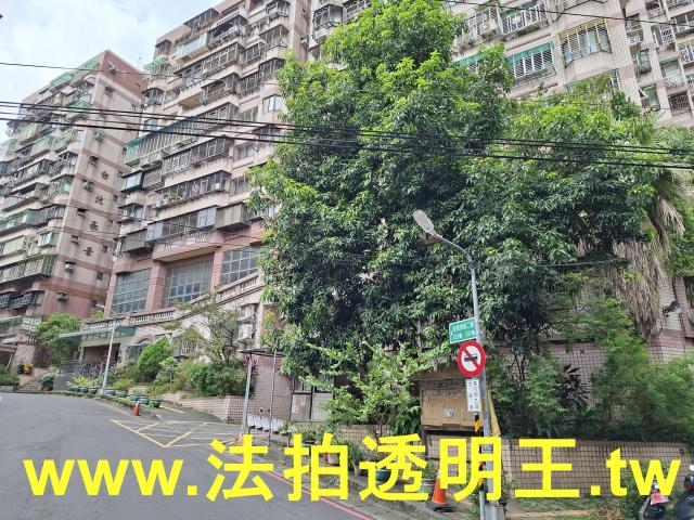 新北樹林法拍大樓-2