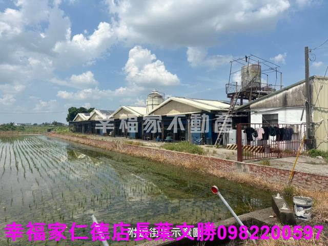 新營雞舍-8
