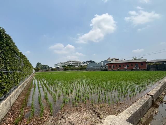 大雅農舍-15