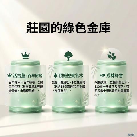 苗栗法拍透天-7