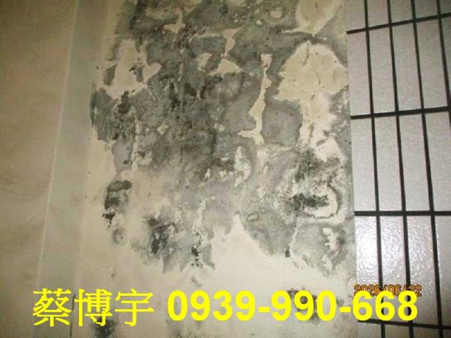 社頭法拍屋員集路透天