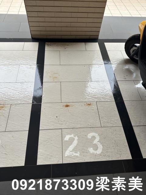 安南華廈-12