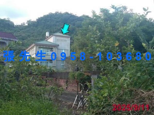 宜蘭頭城法拍別墅-1