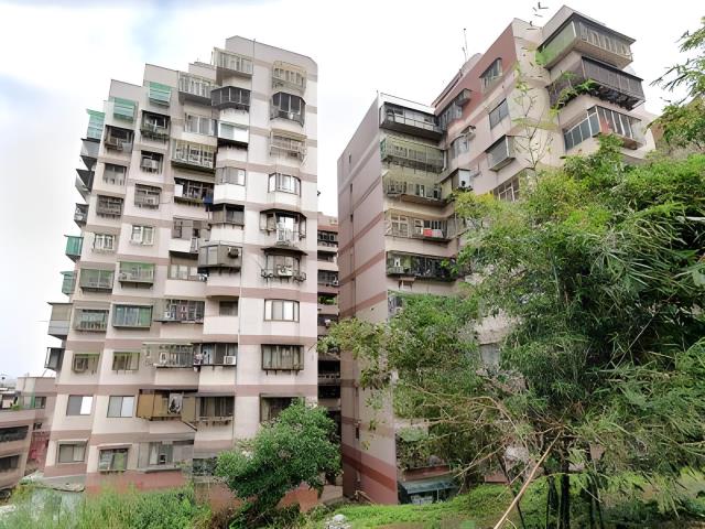 新北樹林法拍大樓-4