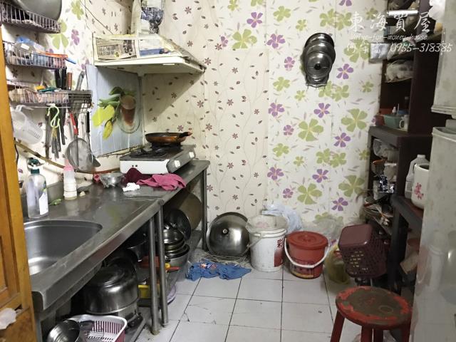 台中大肚透天-9
