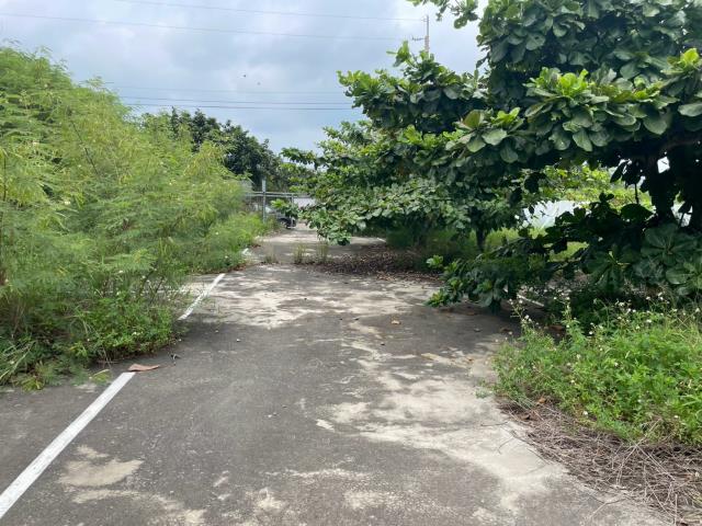 清水農舍-3