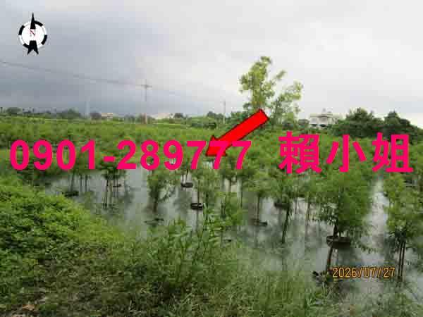 社頭法拍透天-4