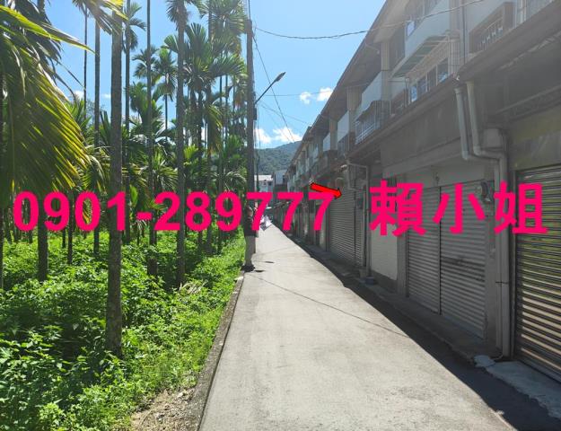南投埔里透天法拍-4
