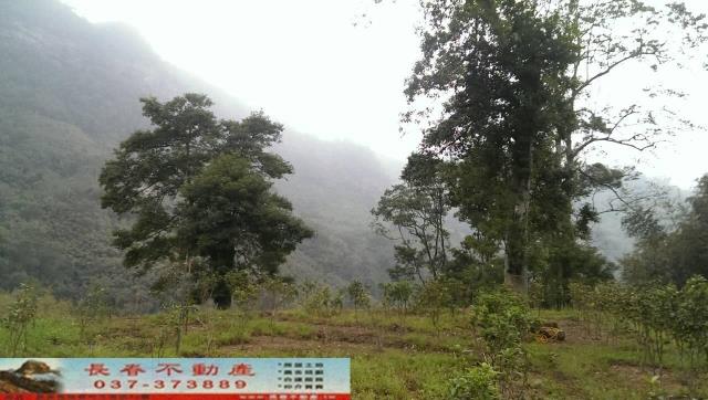 苗栗大湖農舍-4