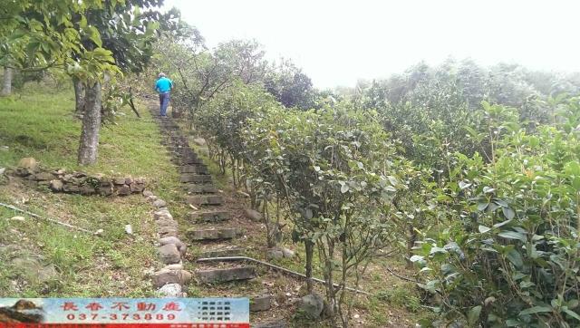 苗栗大湖農舍-6