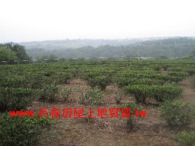 苗栗農地-2