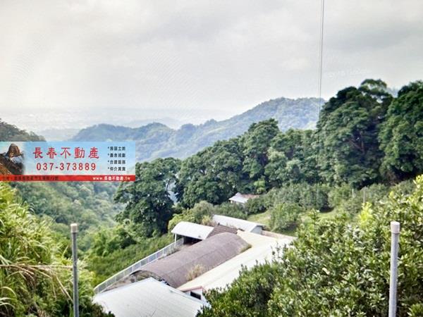 公館林地-1