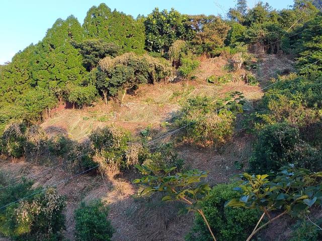 新竹北埔農地-4