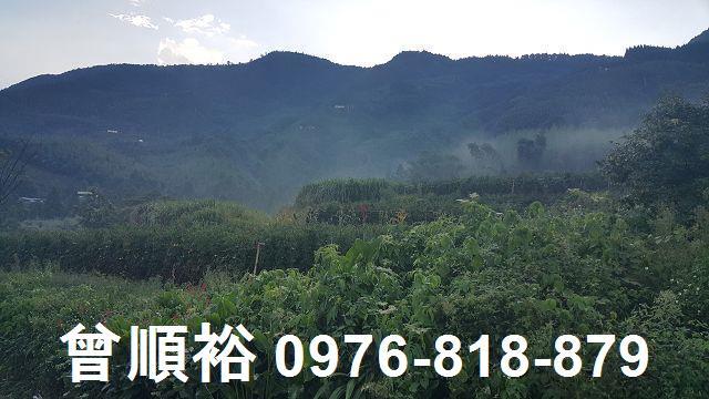 新竹五峰農地-7