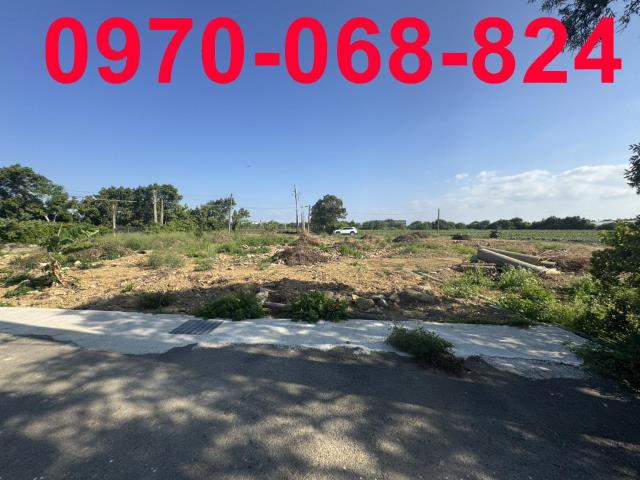 桃園新屋建地-1