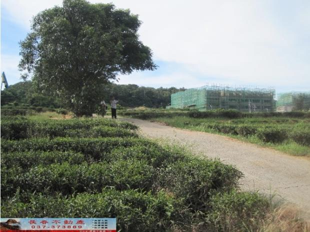 苗栗苗栗市農地-3