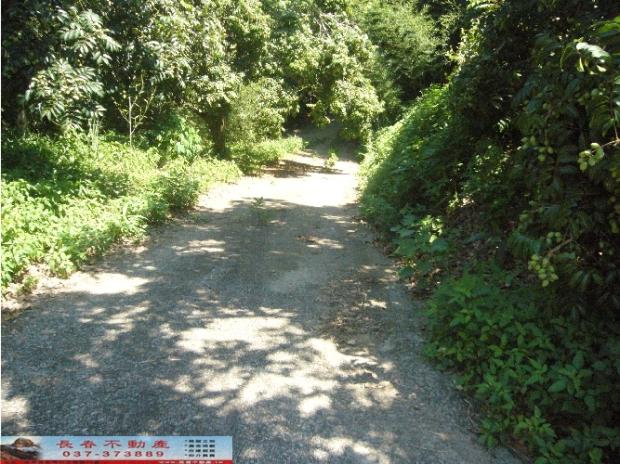 苗栗西湖農地-3