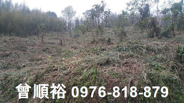 尖石農地-3