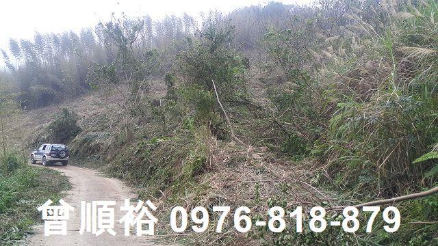 尖石農地-5