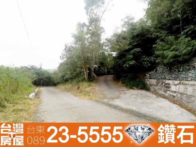 台東卑南農地-10